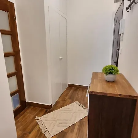 Stylish Flat In Area ! New With Great Access